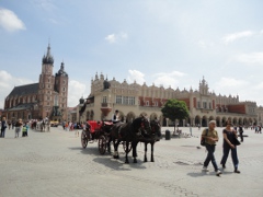 Visites guidées en Pologne